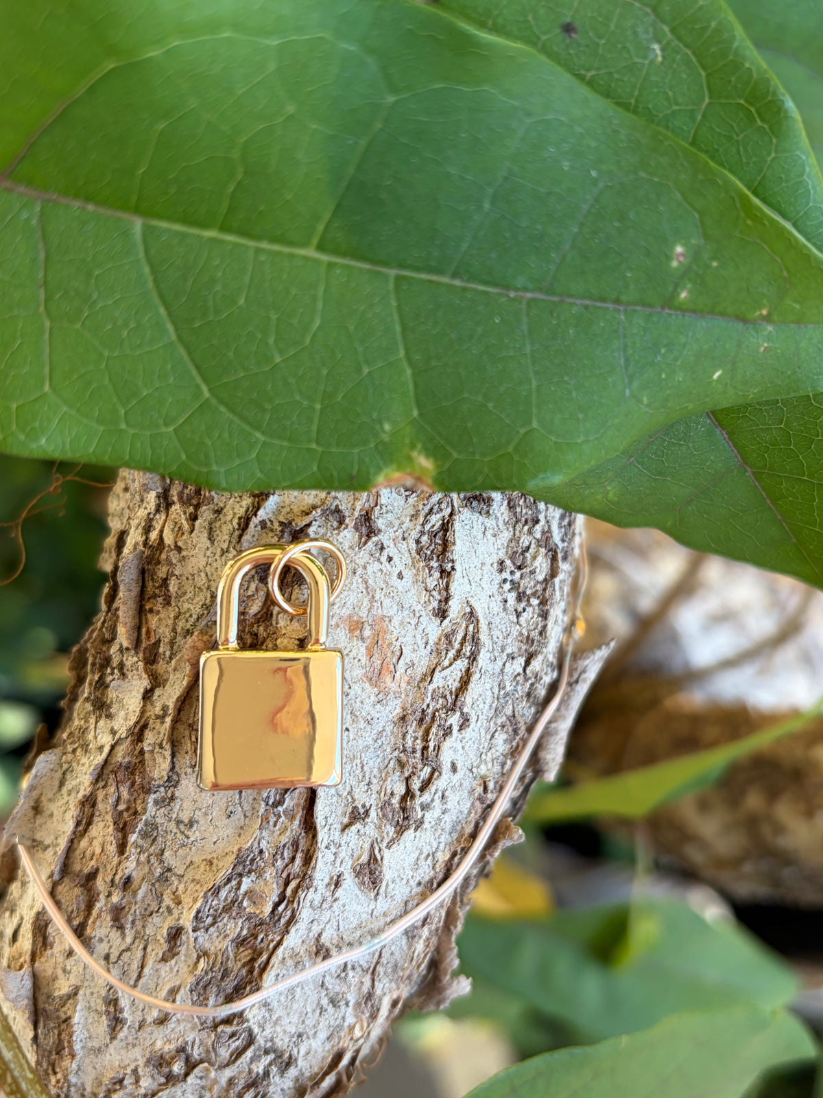 High-polish gold padlock charm on tree bark