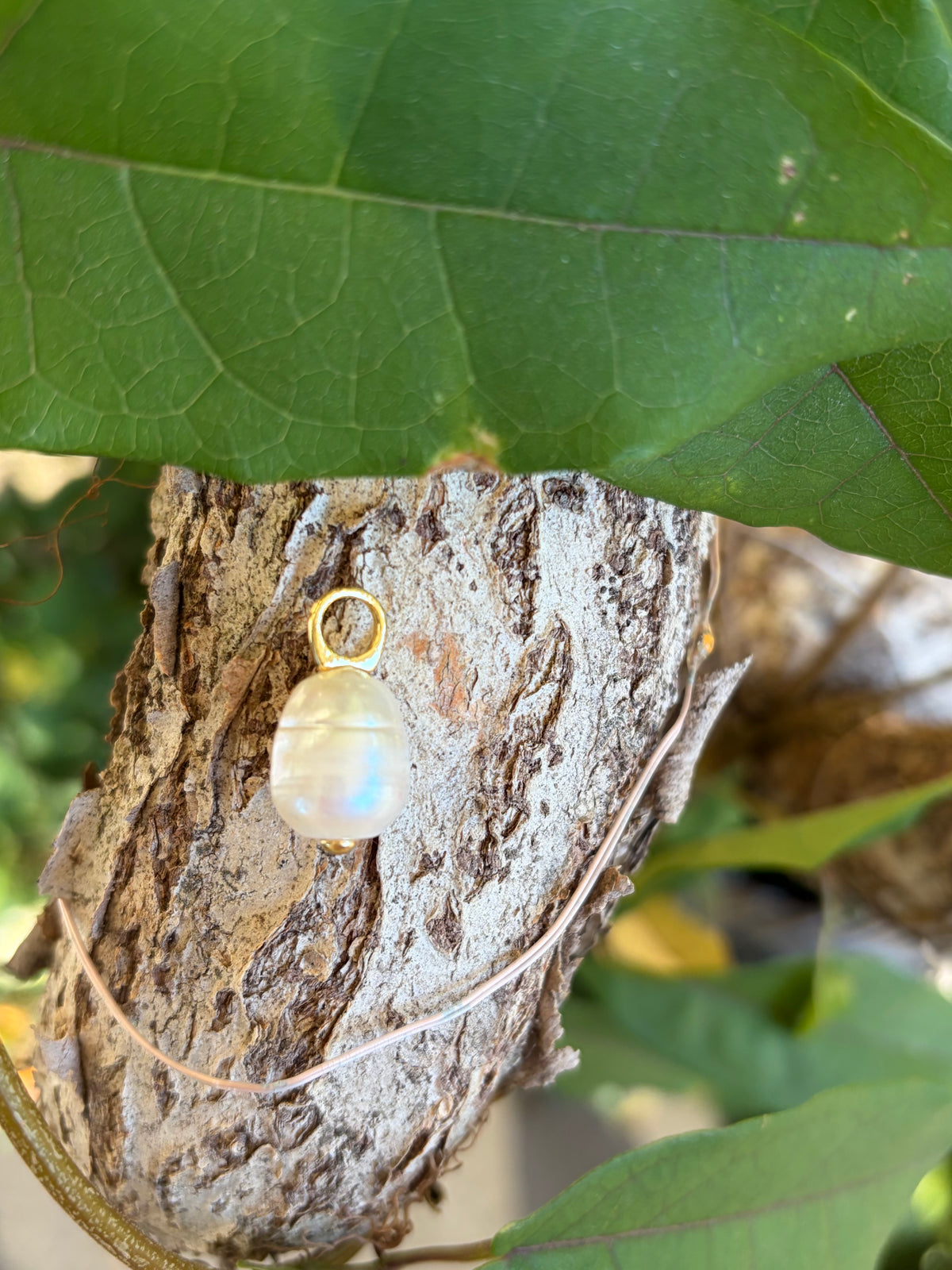 Round moonstone charm with gold bail on tree bark