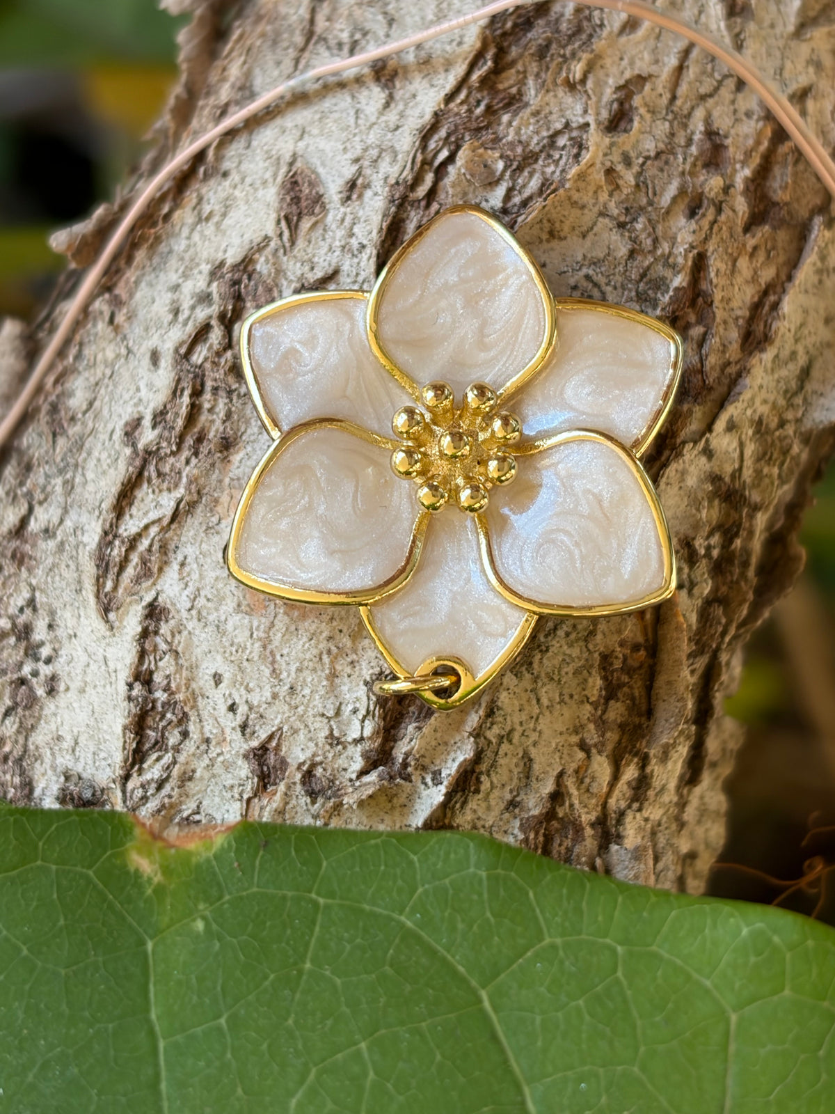 White pearlescent enamel five-petal flower charm with gold border and bead center on tree bark