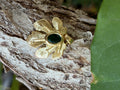 Gold textured flower charm with green oval stone center on tree bark