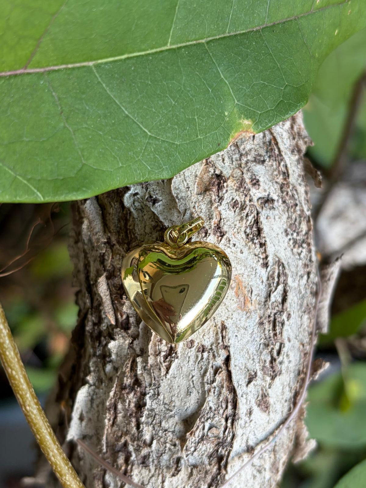 Gold puff heart charm with bail on tree bark with green leaves