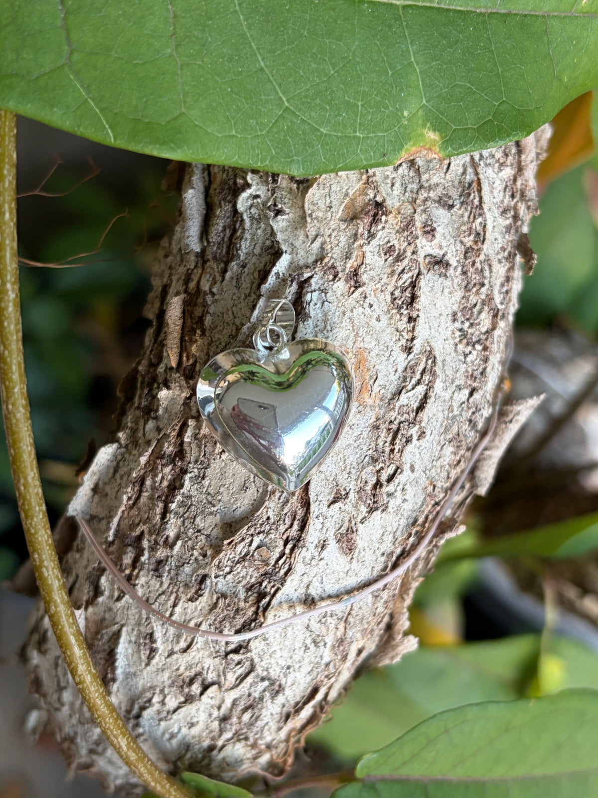 Silver puff heart charm with bail on tree bark with green leaves