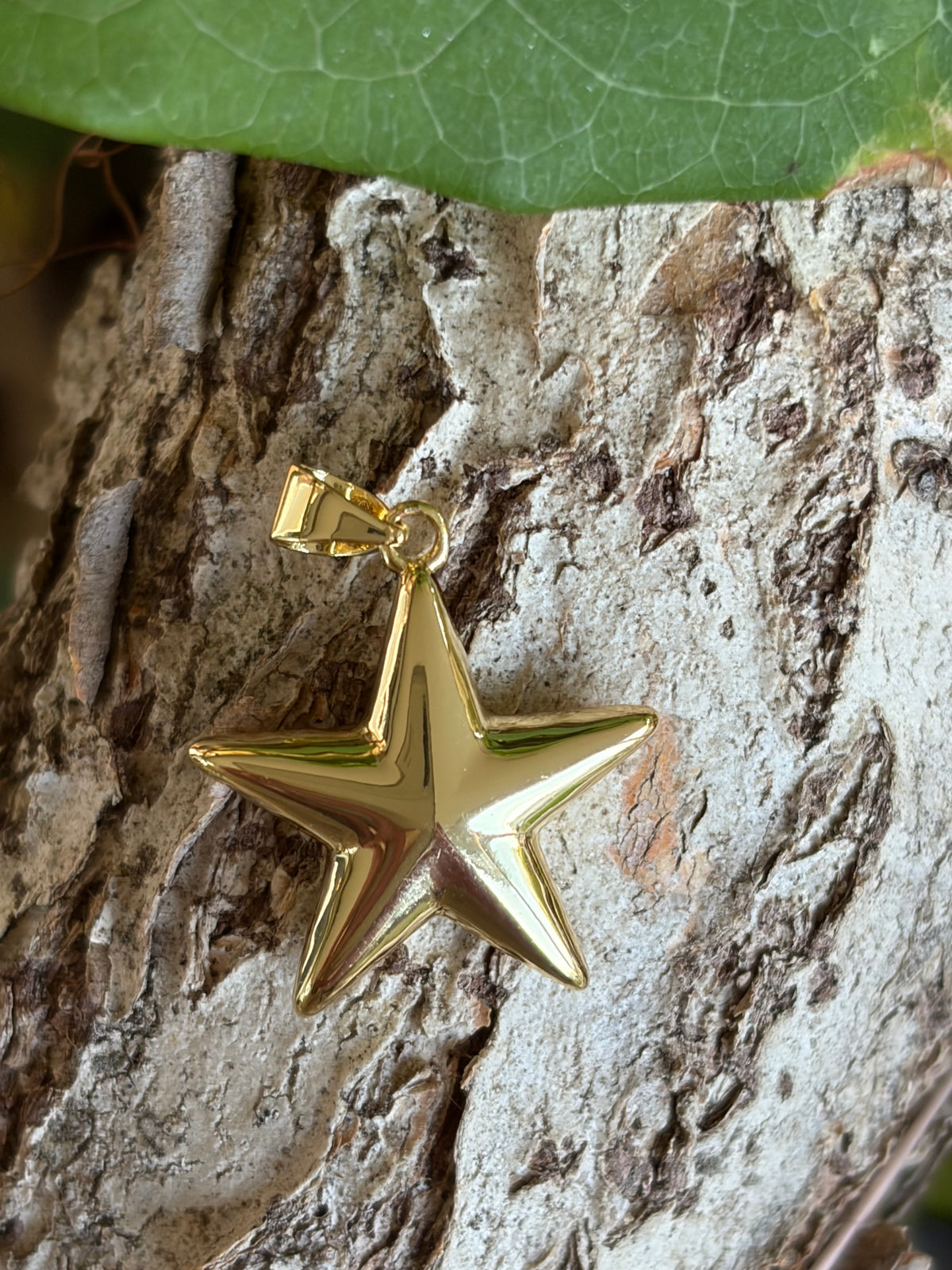 Gold puffy star charm with jump ring bail on tree bark