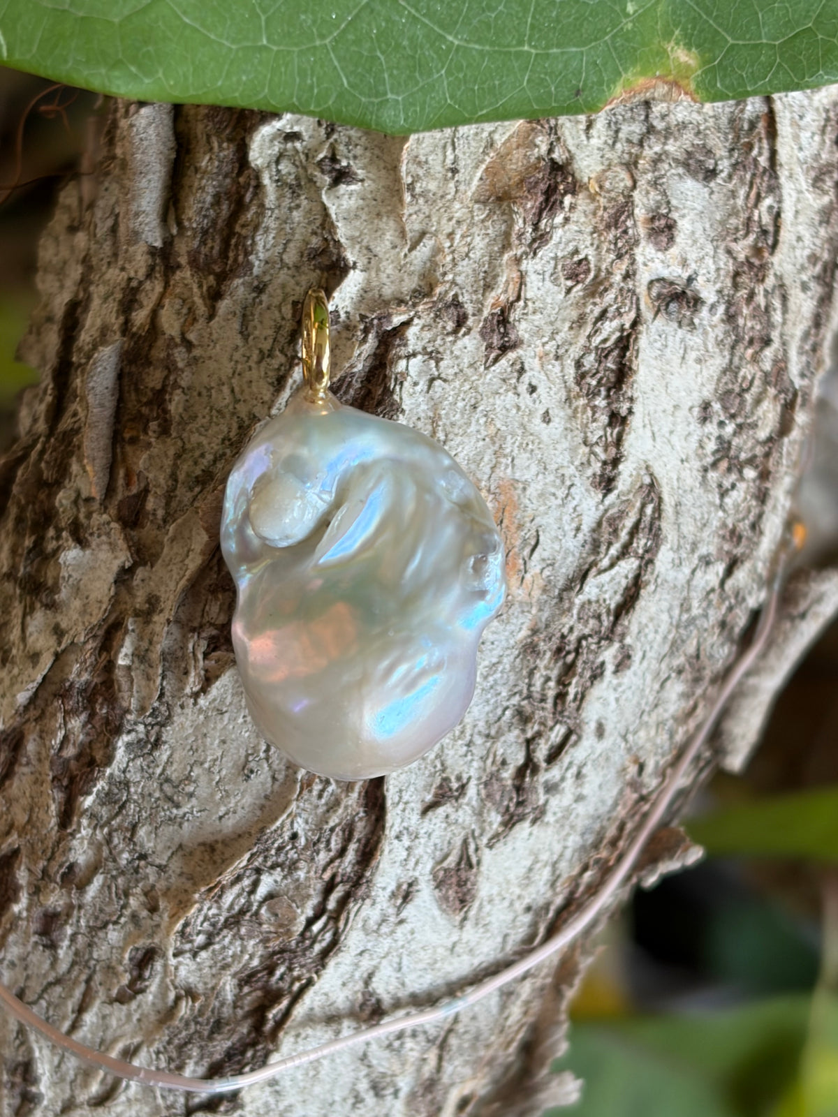 Large baroque freshwater pearl charm with gold jump ring on tree bark
