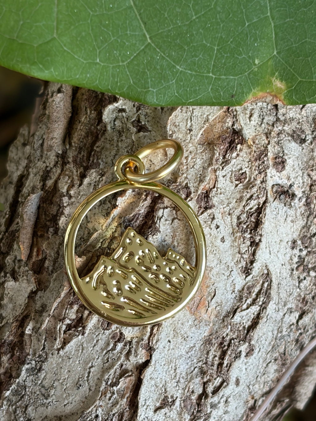 Gold mountain circle charm resting on tree bark with a leaf in the background