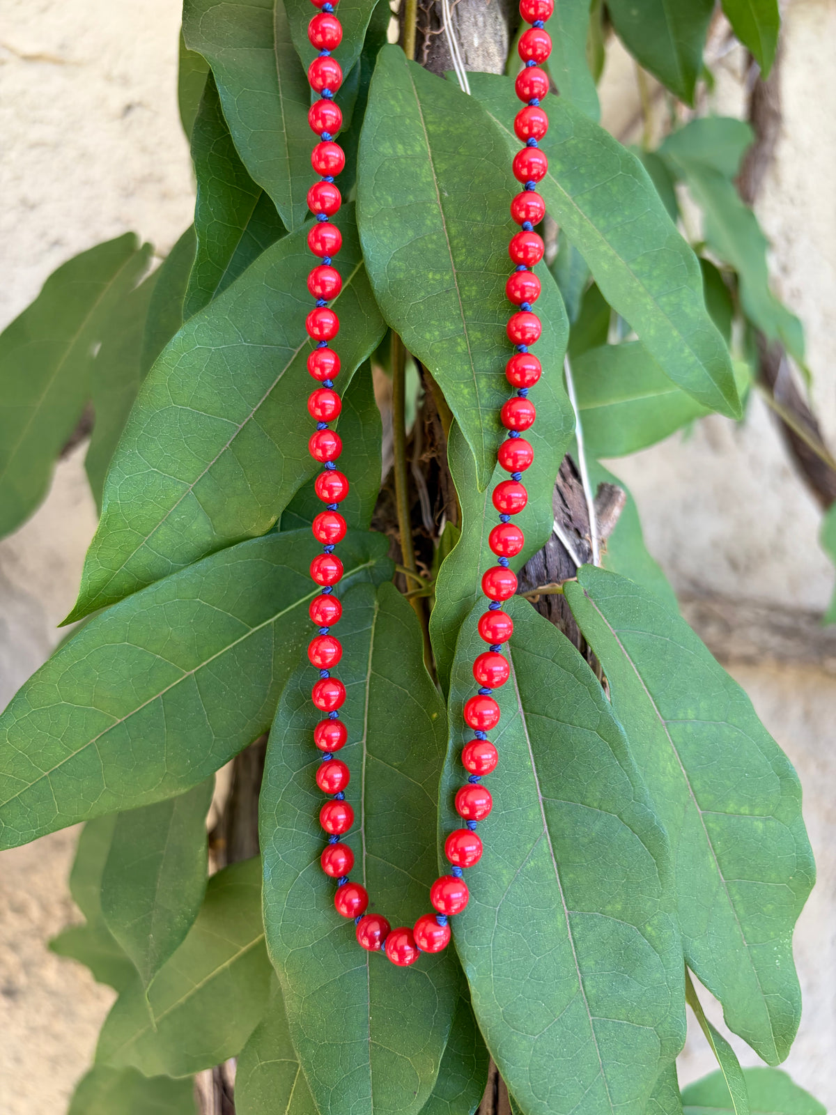 Red beaded necklace on driftwood in natural setting